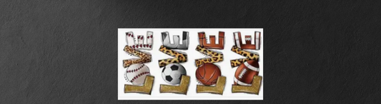 Love of All Sports